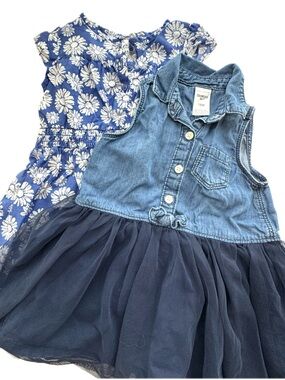 OshKosh B'gosh Toddler Girls Dress Bundle 18M Denim Tulle & Blue Floral Dress